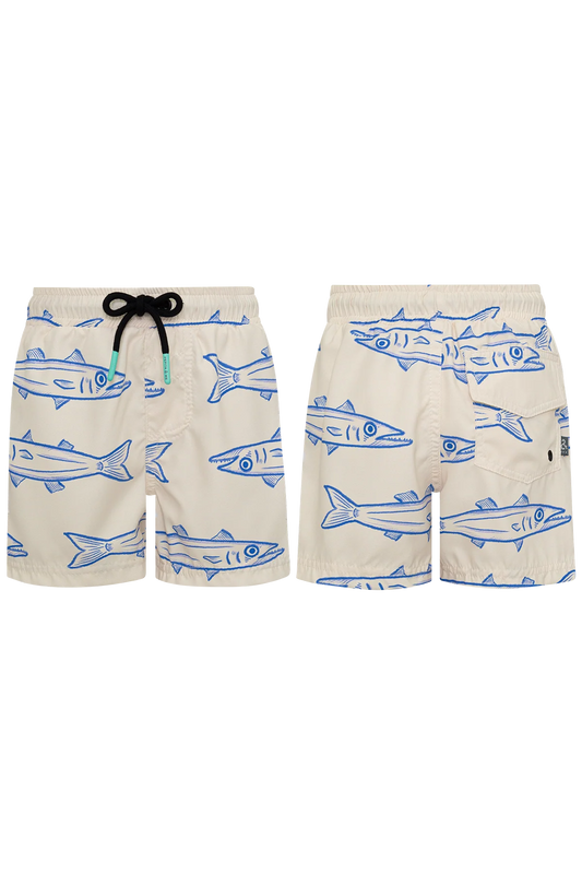 BARRACUDA ARENA SWIM SHORTS